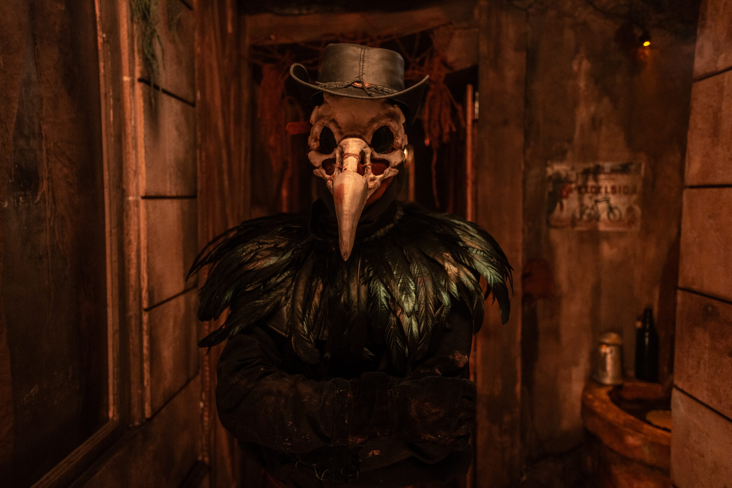 Mission le Taxidermiste