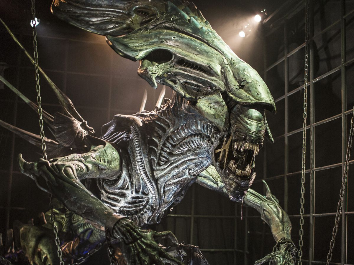 Activité en famille à Lyon